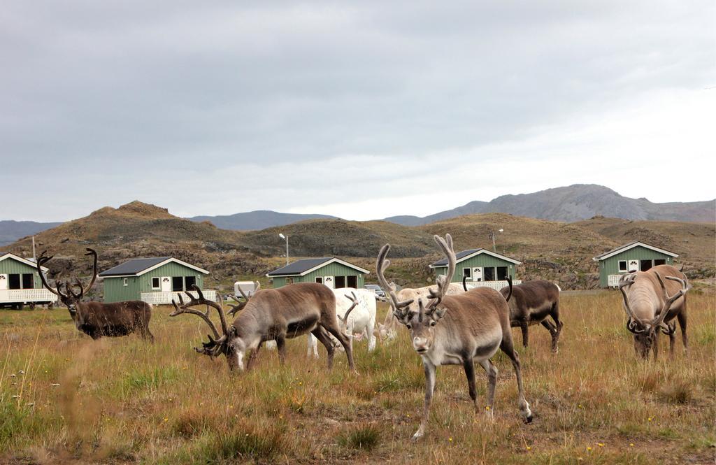 北角露营酒店 Nordkapp 客房 照片