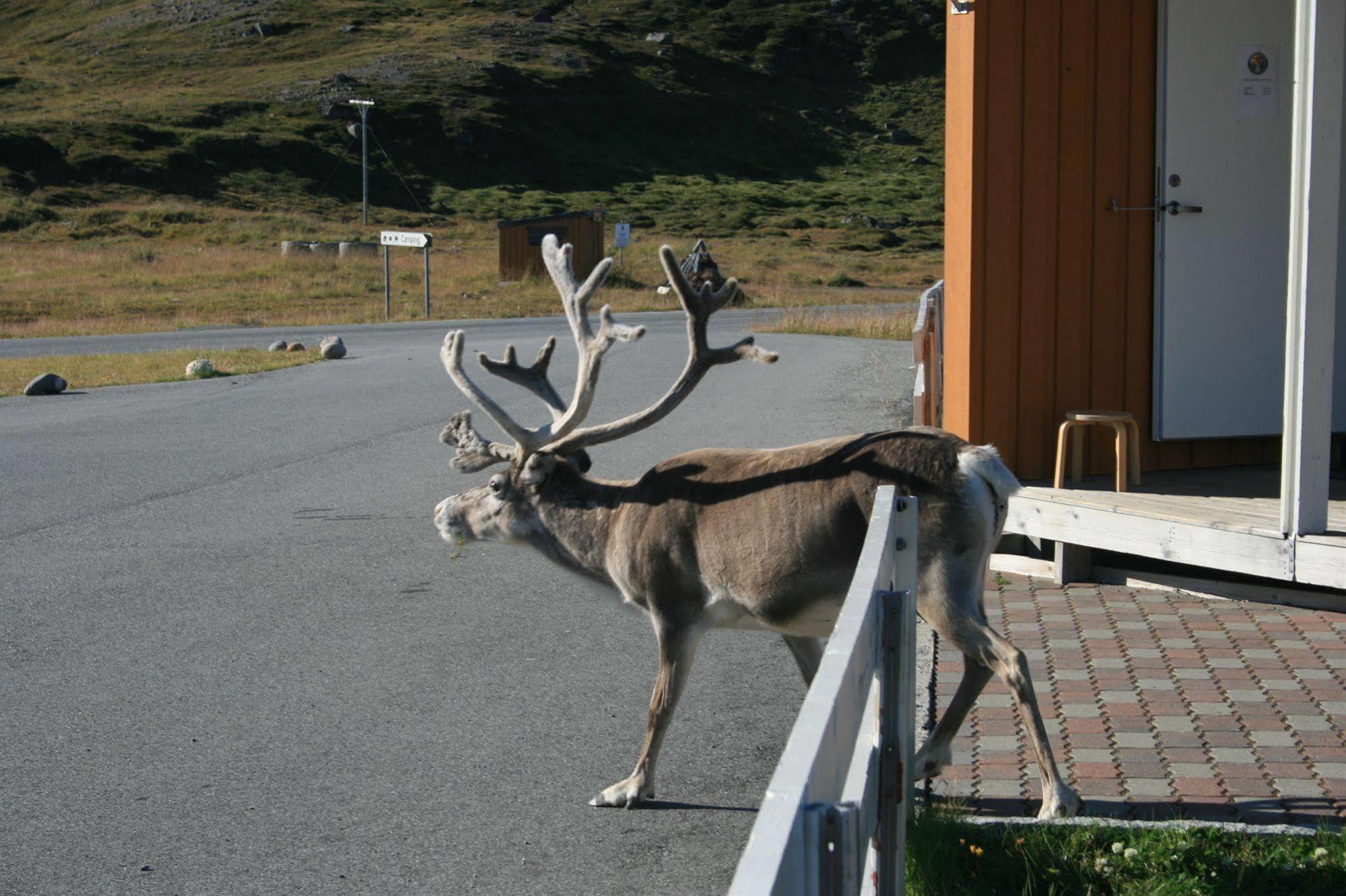 北角露营酒店 Nordkapp 外观 照片